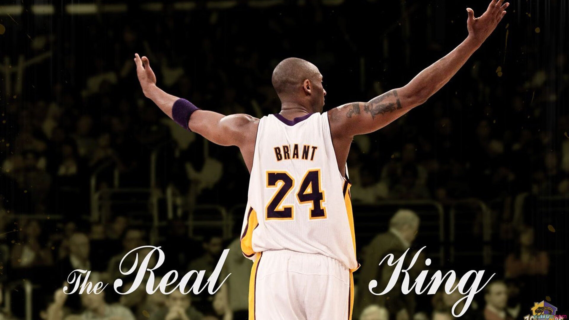 _水上障碍冒险：潜入水底挑战极限_，水下障碍